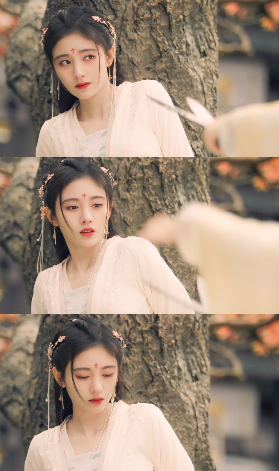 傅容
cr:紫花地丁薇