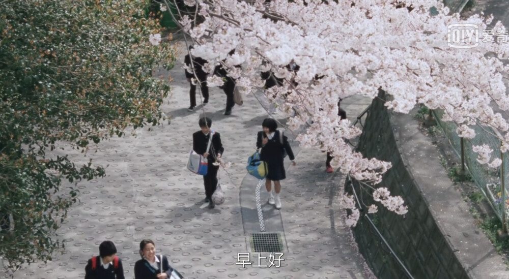 文字图片