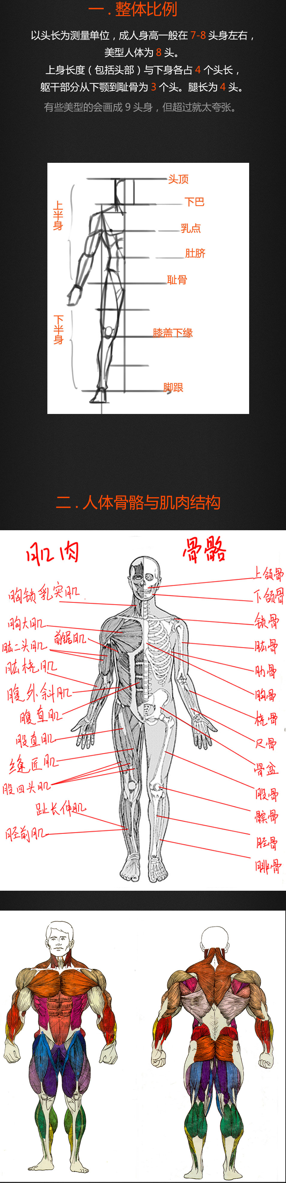 原画丨漫画丨绘画丨人体变形系列-怪物