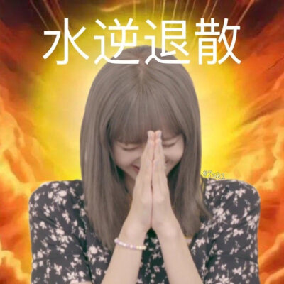 Lisa表情包