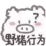 #小白熊表情包
图源：kaoee白鹅