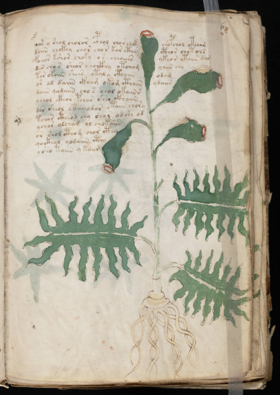 voynichmanuscript