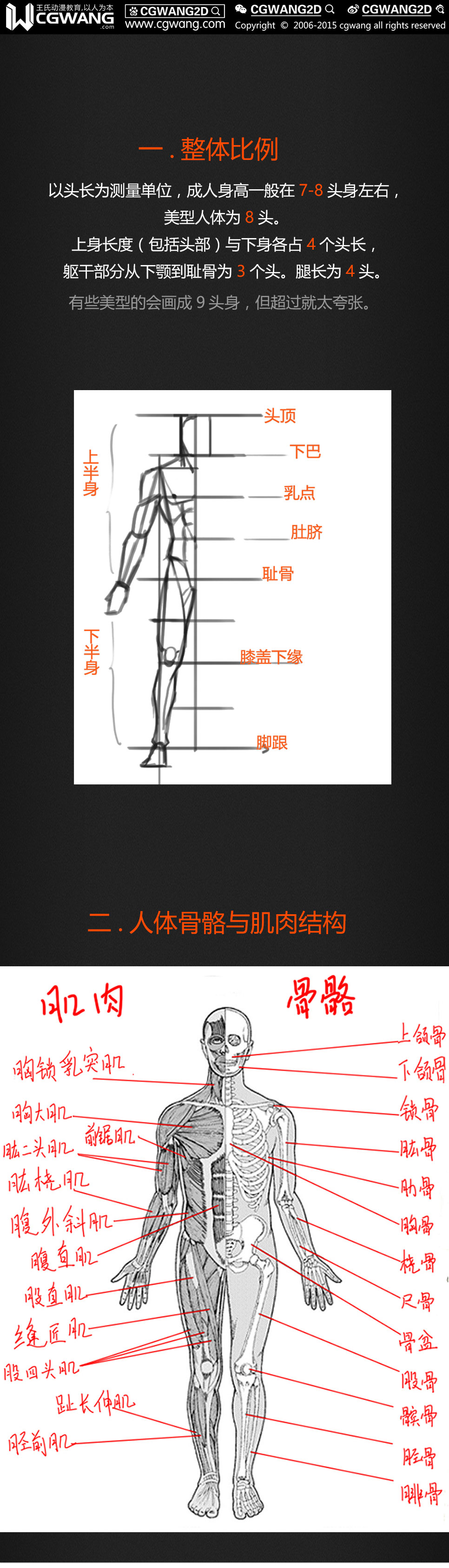 原画丨漫画丨绘画丨人体变形系列-肌肉壮汉 ​​​​