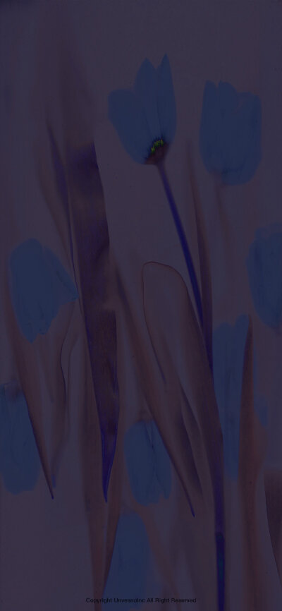 @UNVESNO
一些意识形态壁纸