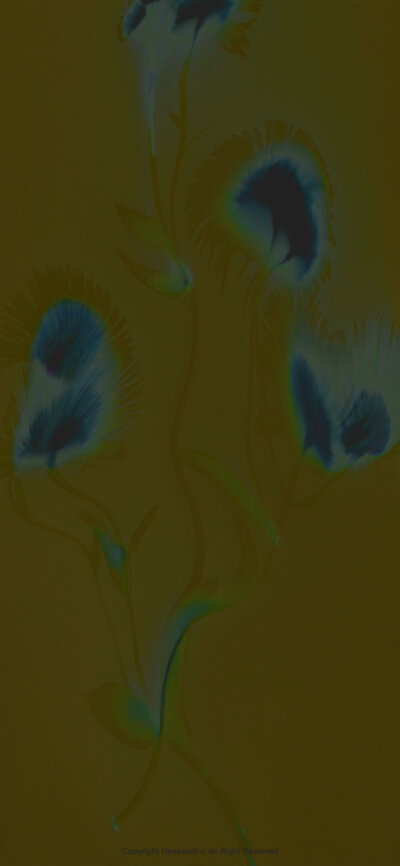 @UNVESNO
一些意识形态壁纸