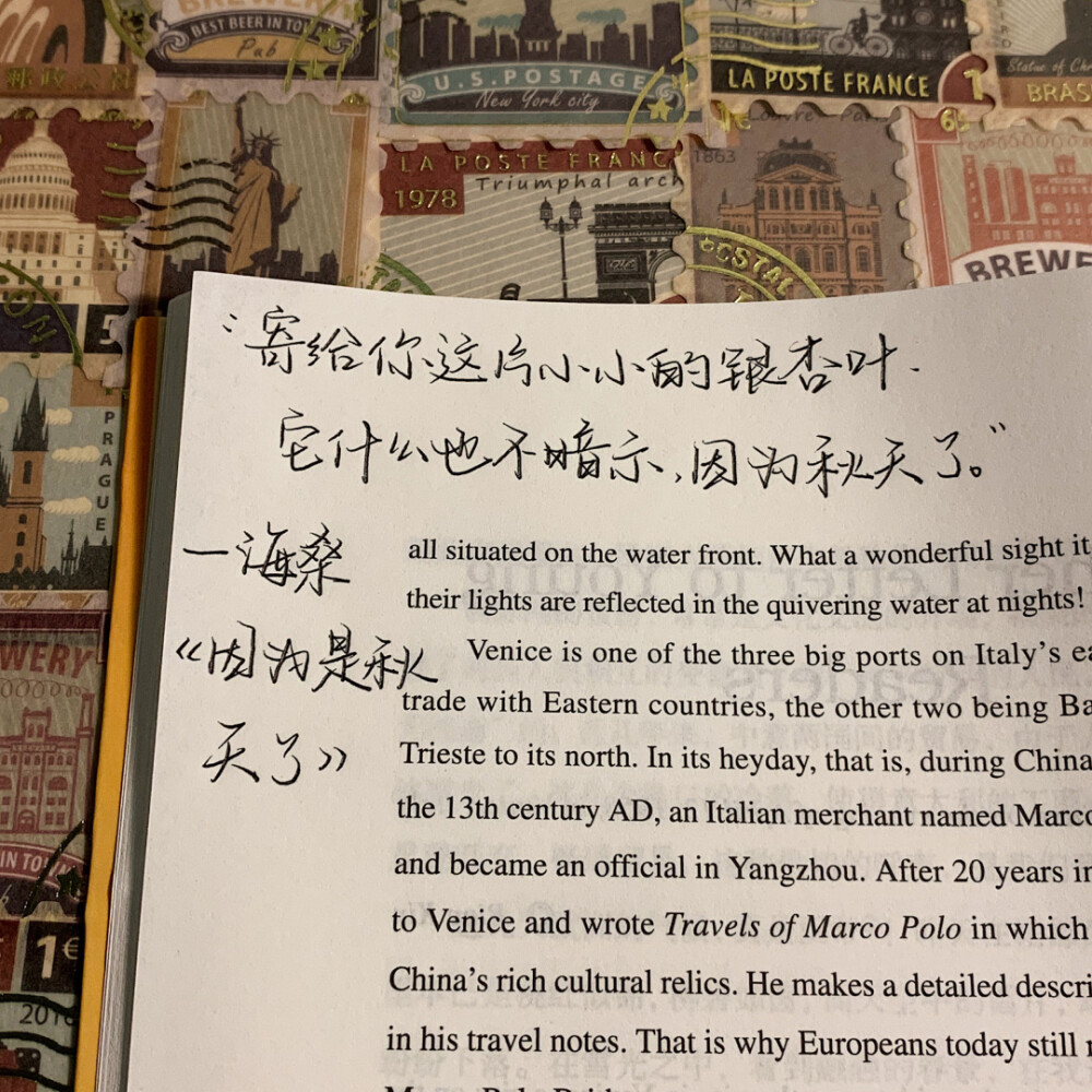 语录分享 cr：小熊手写