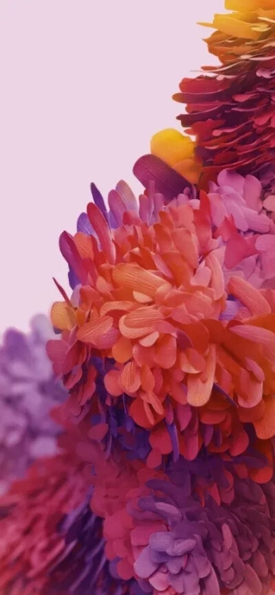 全面屏高清壁纸