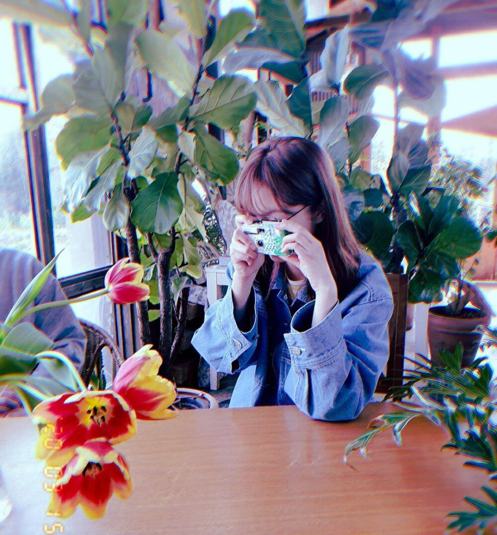 全昭旻全妹全青蛙头像