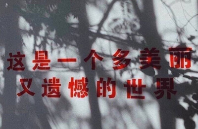 万物皆有灵，除了前任。