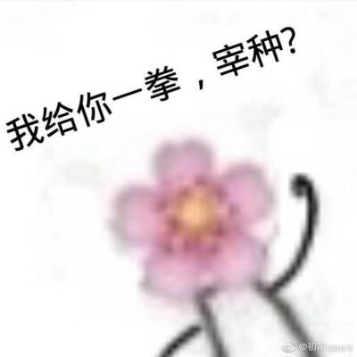 花少北/阴阳怪气/表情包