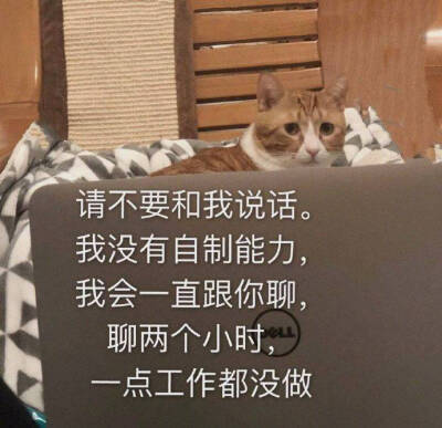 表情包