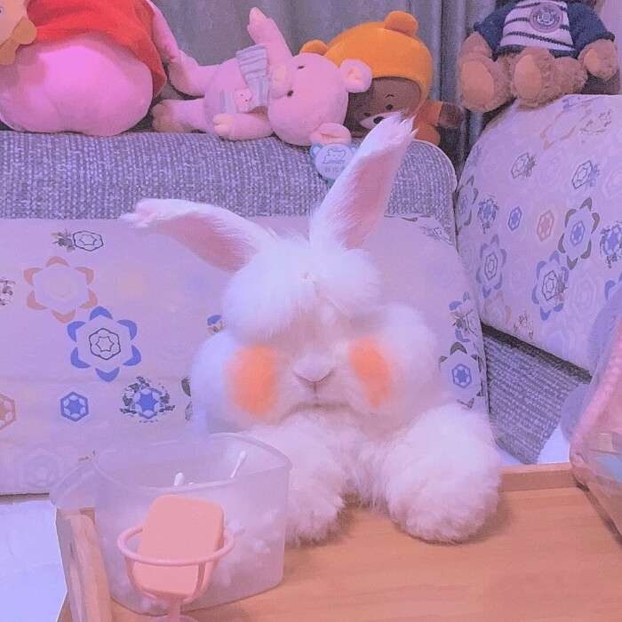 今日分享 | ins背景图