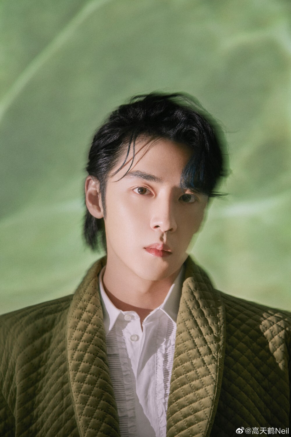 高天鹤迷途的孩子