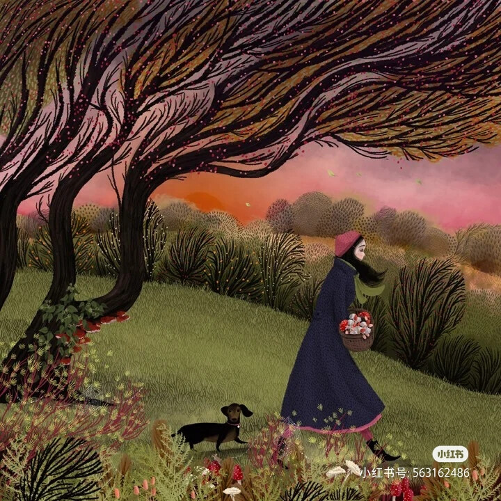 jane newland 植物+清新插画