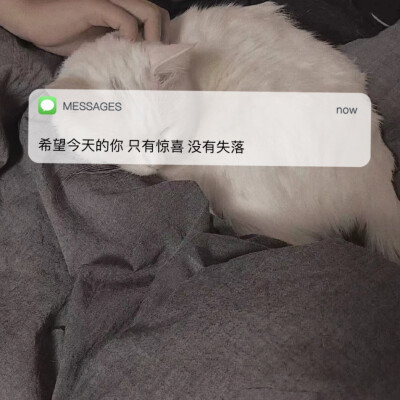 Messages文案 | 朋友圈背景图