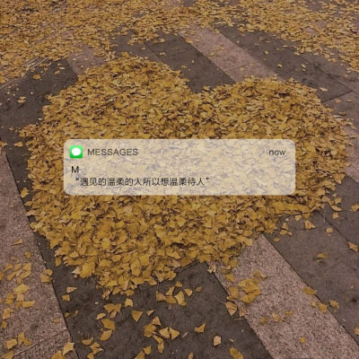 “收集一些温柔的短句” ​​​