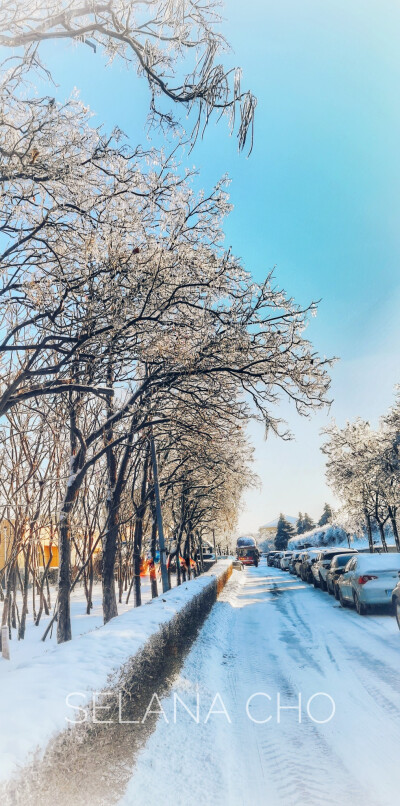 同学发的长春雪景，太美！忍不住修了一下图。