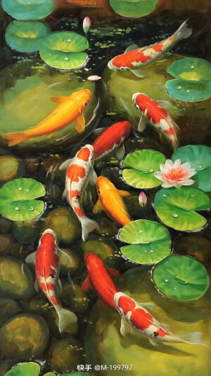 九鱼图壁纸 堆糖 美图壁纸兴趣社区