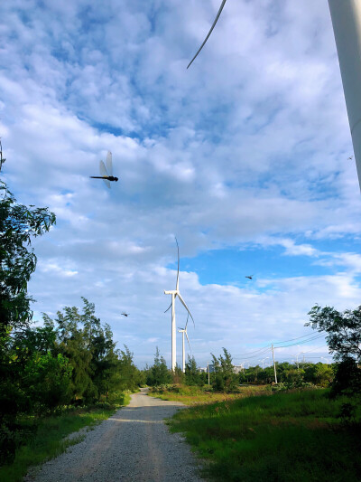 只剩下风景～