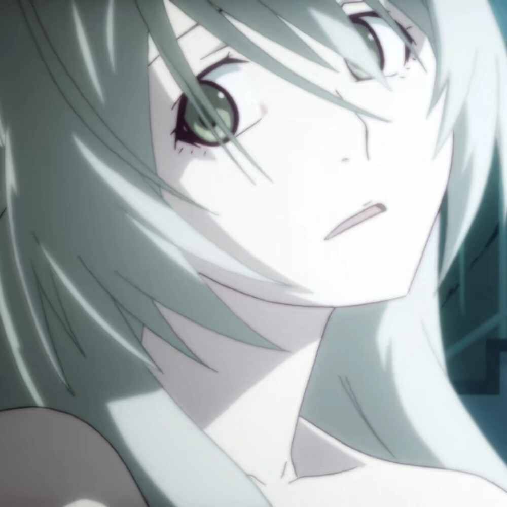 猫物语.物语系列.医医子