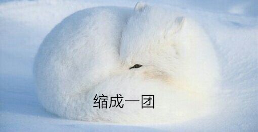 缩成一团