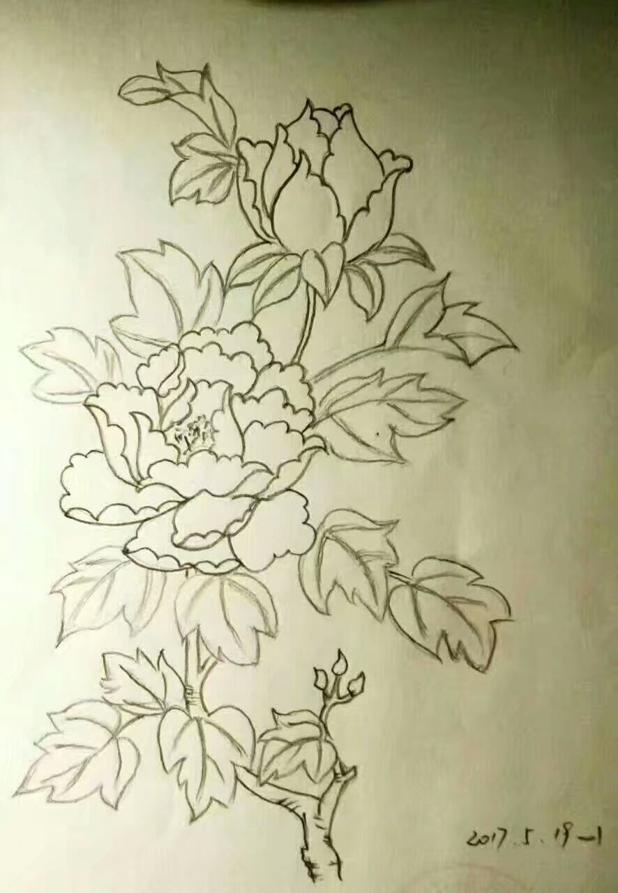 白描兰花