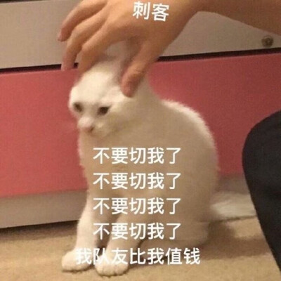 表情包