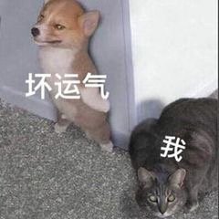 表情包