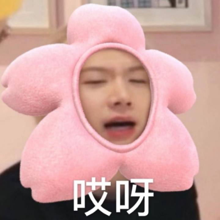 nct李永钦表情包