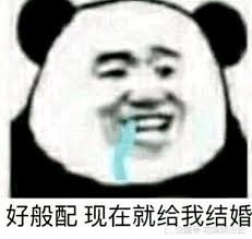 搞西皮表情包