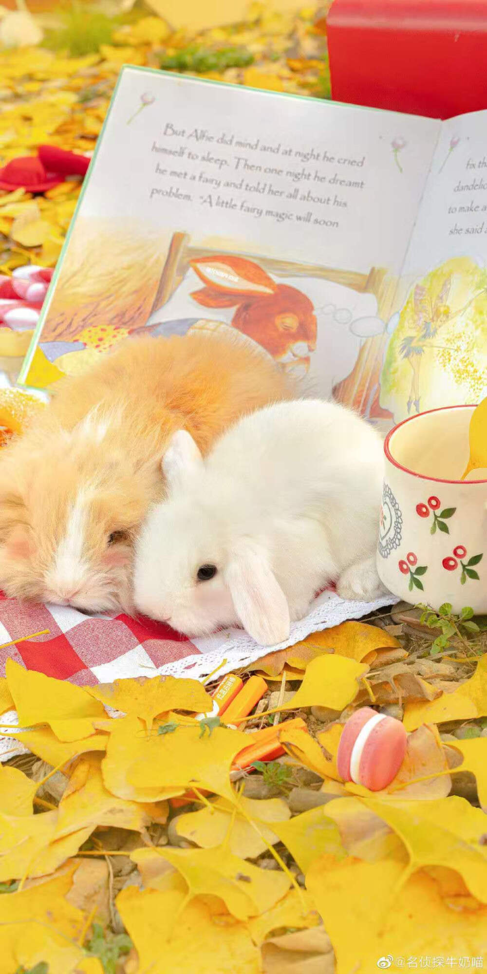 图源：微博/名侦探牛奶喵