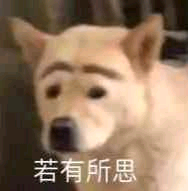 表情