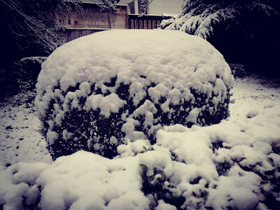 雪景