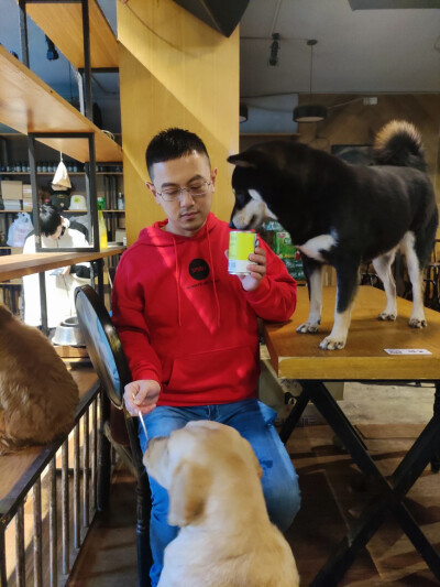 Iris喜欢招猫逗狗