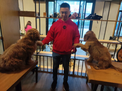 Iris喜欢招猫逗狗