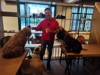 Iris喜欢招猫逗狗