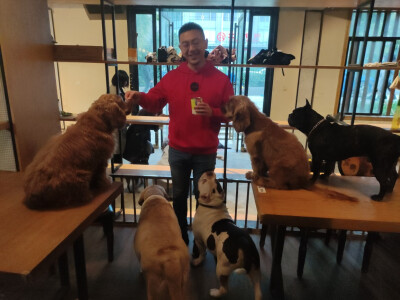 Iris喜欢招猫逗狗