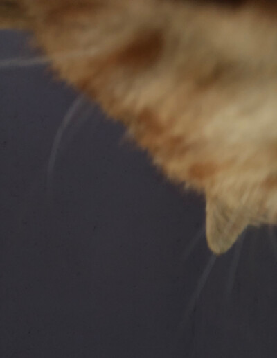 天气转凉啦，期待热气腾腾的糖炒板栗和新的遇见吧