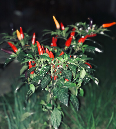 多出去走走吧，遇见不同的人，不同的风景