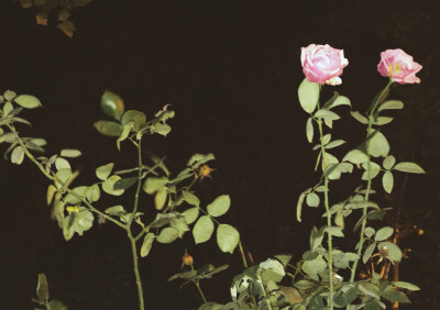 多出去走走吧，遇见不同的人，不同的风景