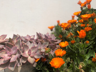 多出去走走吧，遇见不同的人，不同的风景