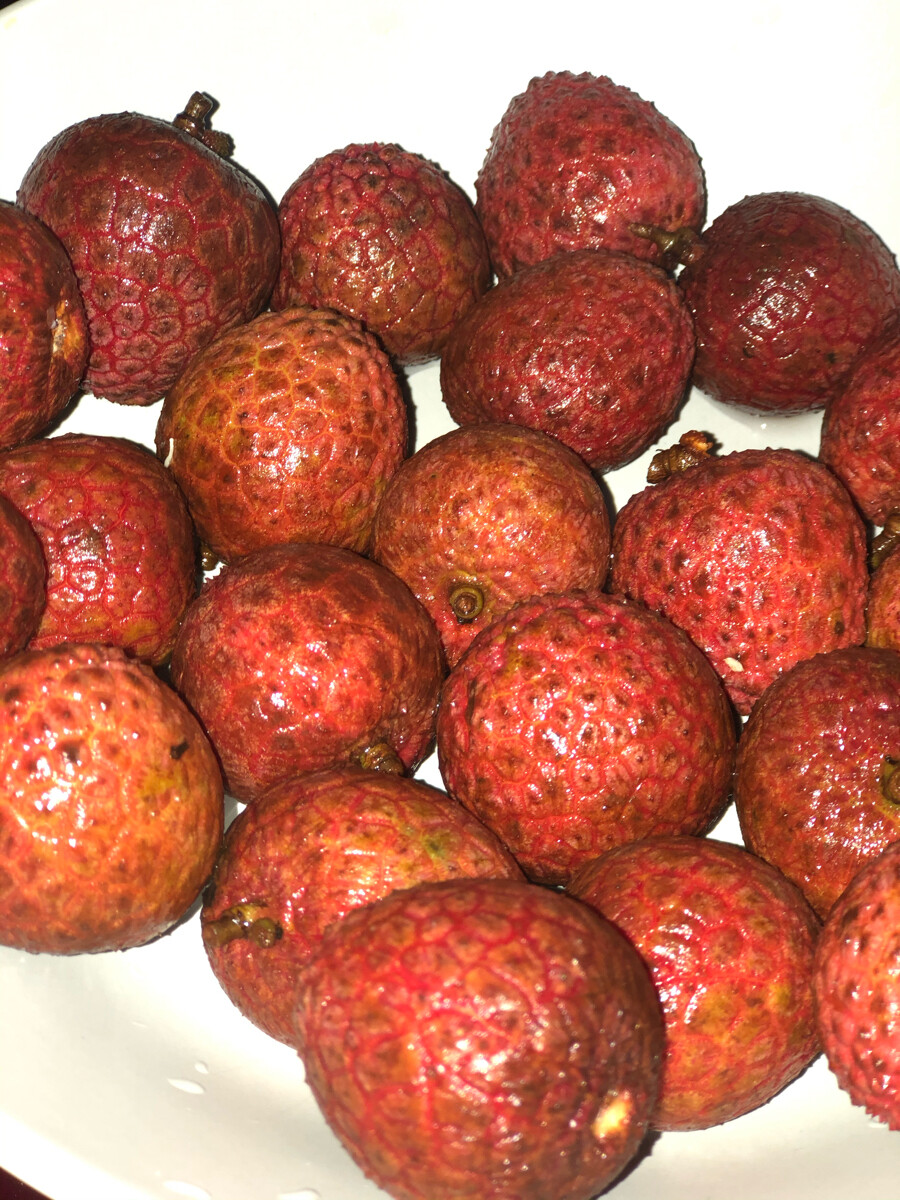 天冷啦，多加衣