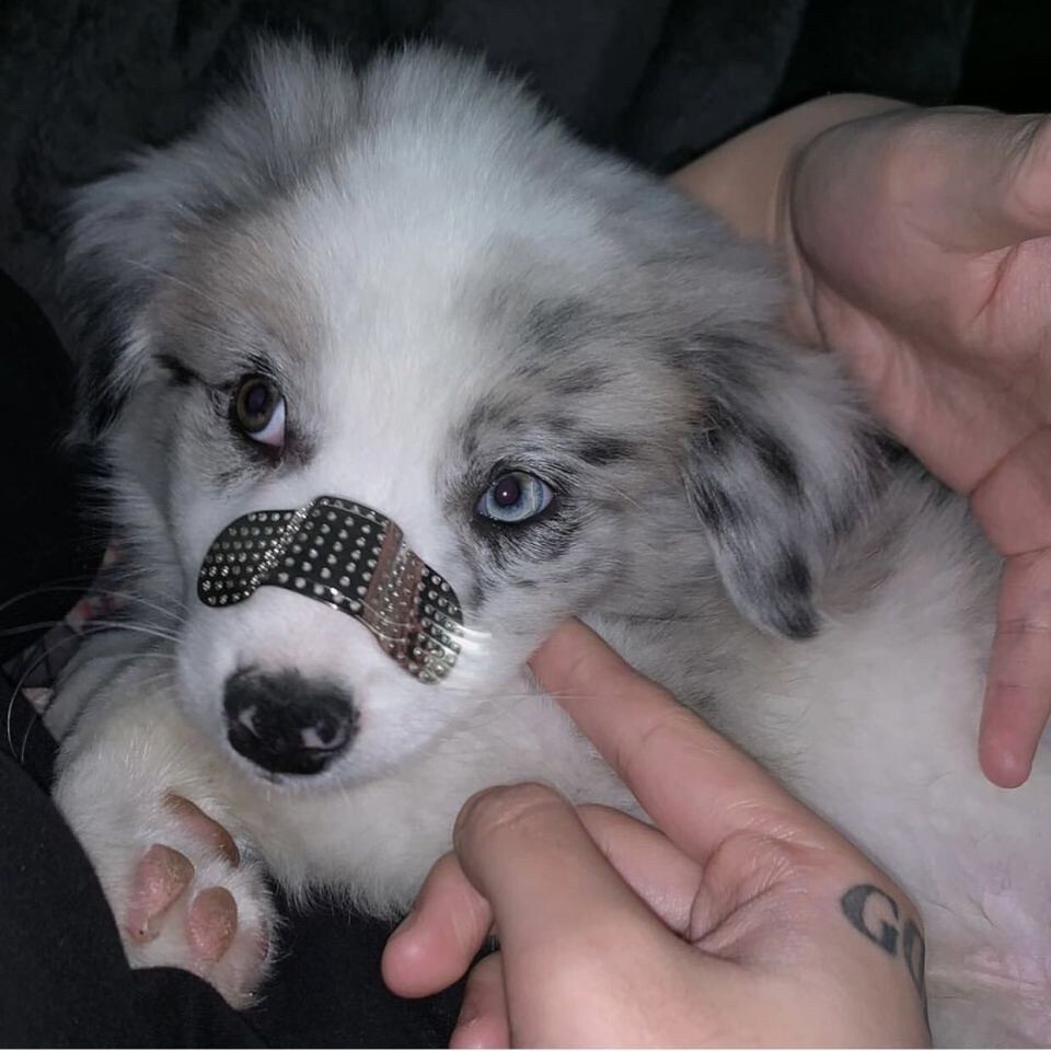 欧美男头 男生头像