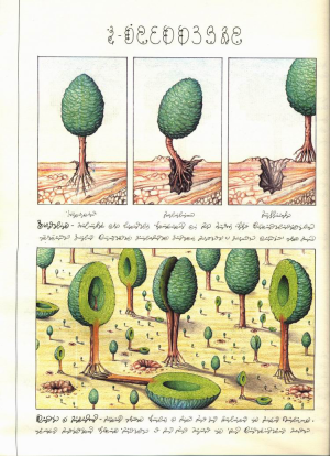 Luigi.Serafini.-.Codex.Seraphinianus