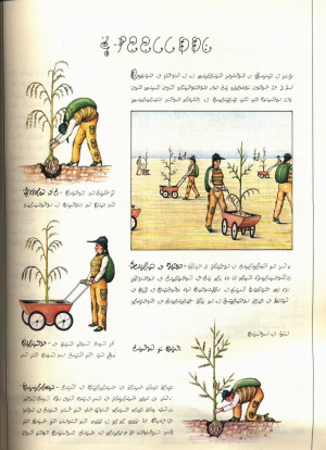 Luigi.Serafini.-.Codex.Seraphinianus