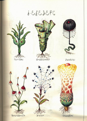 Luigi.Serafini.-.Codex.Seraphinianus