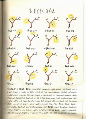 Luigi.Serafini.-.Codex.Seraphinianus