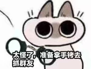 网红小暹罗猫表情包