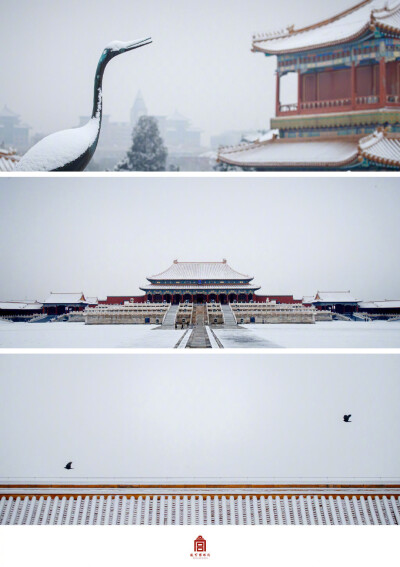 红梅白雪知