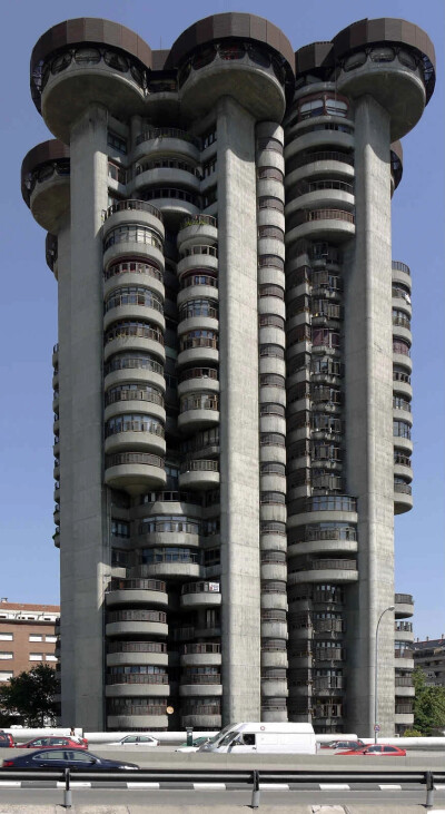 自从柯布西耶（Le Corbusier）运用粗制混凝土或无饰面混凝土构建野兽派建筑后，这类建筑很快取代了学院派，成为了政府或机构的办公场所。